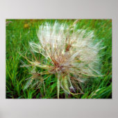 ヤギのひげ ポスター (正面)