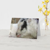 ヤギのアミゴ カード (黄色い花)