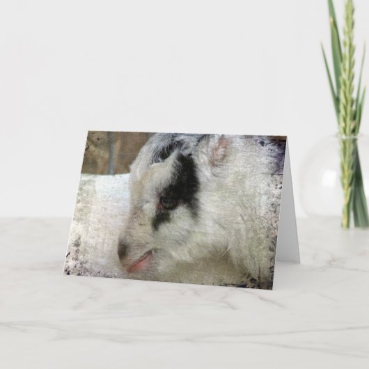 ヤギのアミゴ カード (正面)