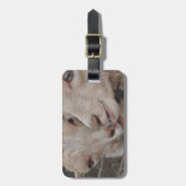 ヤギのカップル ラゲッジタグ (正面縦)