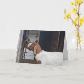 ヤギのキスパーソナライズされた挨拶 カード (黄色い花)