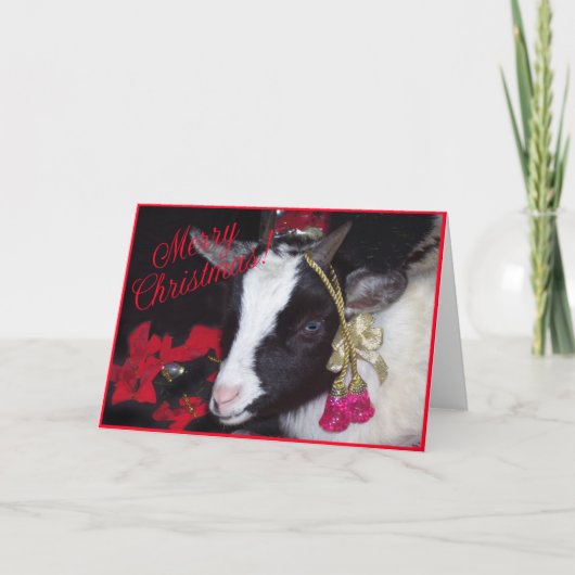 ヤギのクリスマスカードルフス シーズンカード (正面)