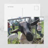 ヤギのクローズ ポストカード (正面/裏面)