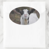 ヤギのシール 楕円形シール (バッグ)