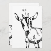 ヤギのスケッチことわざ「Hej!」 招待状 (正面/裏面)