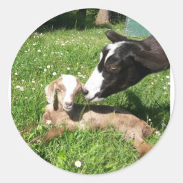 ヤギのステッカーセット6 ラウンドシール