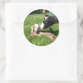 ヤギのステッカーセット6 ラウンドシール (バッグ)