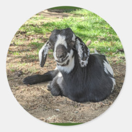 ヤギのステッカーセット6 ラウンドシール