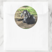 ヤギのステッカーセット6 ラウンドシール (バッグ)