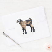 ヤギのステッカーセット6 ラウンドシール (封筒)