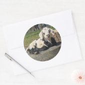 ヤギのステッカーセット6 ラウンドシール (封筒)