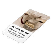 ヤギのスナグリング マグネット (左側)