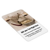 ヤギのスナグリング マグネット (右側)