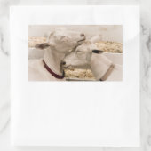 ヤギのスナグリング 長方形シール (バッグ)