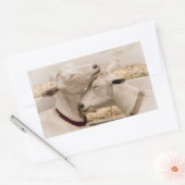 ヤギのスナグリング 長方形シール (封筒)