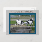 ヤギのセンス ポストカード (正面/裏面)