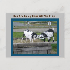 ヤギのセンス ポストカード