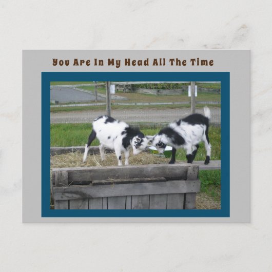 ヤギのセンス ポストカード (正面)