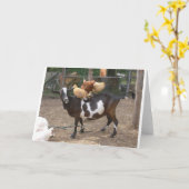 ヤギのタクシー カード (黄色い花)