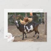 ヤギのタクシー ポストカード (正面/裏面)