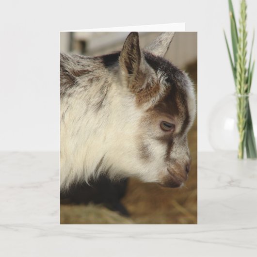 ヤギのネズミ カード (正面)