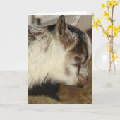 ヤギのネズミ カード (黄色い花)