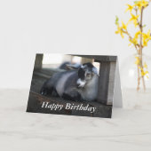 ヤギのバースデー・カード カード (黄色い花)