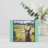 ヤギのパワーチームポストカード ポストカード (スタンド正面)