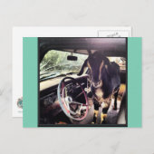 ヤギのパワーチームポストカード ポストカード (正面/裏面)