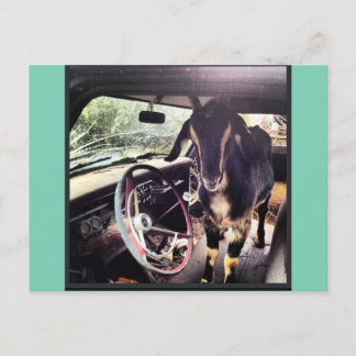 ヤギのパワーチームポストカード ポストカード