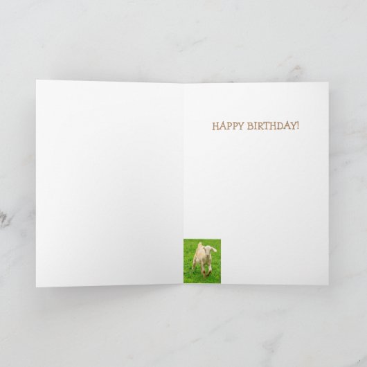 ヤギのパン、ベビーヤギ、かわいい誕生日 カード (内部)