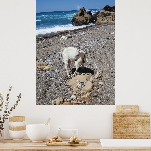 ヤギのビーチ ポスター (キッチン)