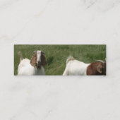 ヤギのプロフィールカード スキニー名刺 (裏面)