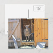 ヤギのポストカード ポストカード (正面/裏面)