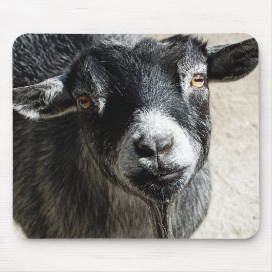 ヤギのマウスパッド マウスパッド (正面)