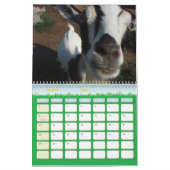 ヤギのヤギのコレクターのカレンダーの愛のため カレンダー (3月 2026)