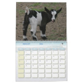 ヤギのヤギのコレクターのカレンダーの愛のため カレンダー (2月 2026)