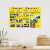 ヤギの事実ポスター1 ポスター (キッチン)