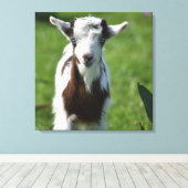 ヤギの写真 キャンバスプリント (インサイチュ (ウッドフロア))