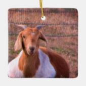 ヤギの写真 セラミックオーナメント (正面)