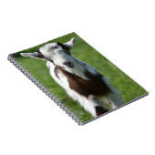 ヤギの写真 ノートブック (右側)