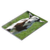 ヤギの写真 ノートブック (左側)