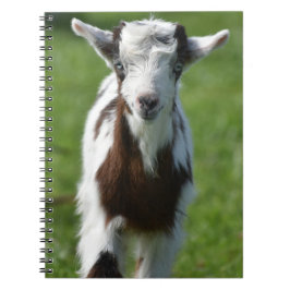 ヤギの写真 ノートブック