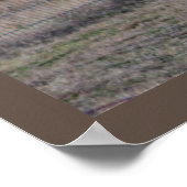 ヤギの写真 ポスター (角)