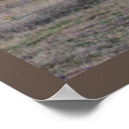 ヤギの写真 ポスター (角)