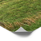 ヤギの写真 ポスター (角)