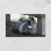 ヤギの名刺 名刺 (裏面)