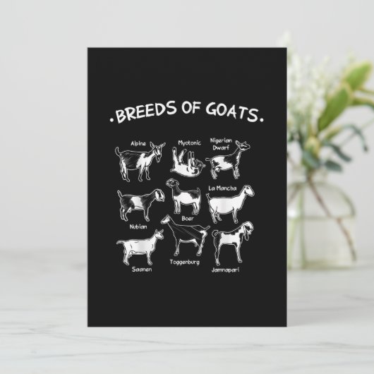 ヤギの品種農家ヤギ セーブザデート (スタンド正面)