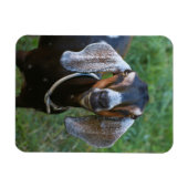 ヤギの女性の田舎田舎の農場 マグネット (横)