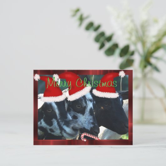 ヤギの子供のクリスマスの郵便はがきは個人化なできます シーズンポストカード (スタンド正面)